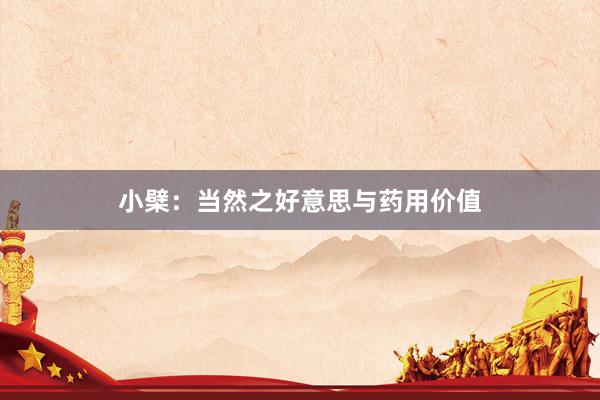 小檗：当然之好意思与药用价值